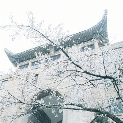 第六届黑龙江省旅发大会将于6月24日在齐齐哈尔启幕